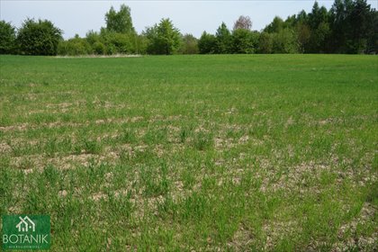 Działka 7000 m² w Snopkowie - zapraszam działka Snopków