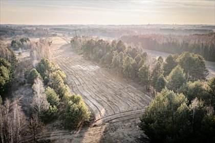 działka na sprzedaż 1200m2 działka Wola Raniżowska