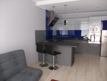 mieszkanie na wynajem 54m2 mieszkanie Brodnica, Niskie Brodno