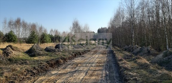 Polecam działkę 3000 m² pod rekreację, las 120 m działka Wycześniak