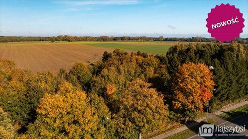 działka na sprzedaż 4100m2 działka Brojce, obrzeża