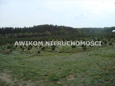 działka na sprzedaż 25460m2 działka Grzegorzewice