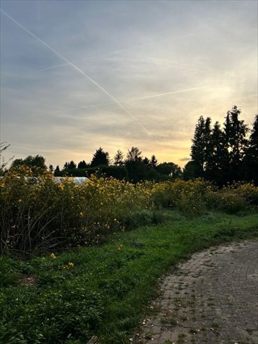 Sprzedam działkę 1180 m² w Dobrej z warunkami zabudowy działka Dobra