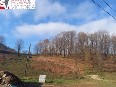 działka na sprzedaż 1650m2 działka Struga