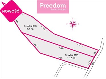 Działka rekreacyjna na sprzedaż Borownica 25 700m2 Foto 4