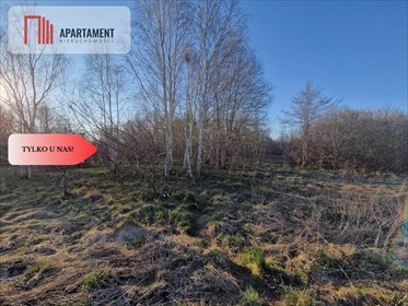 działka na sprzedaż 3000m2 działka Nowy Bukowiec