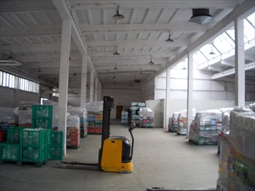 Magazyn na sprzedaż Legnica 5 050m2 Foto 6
