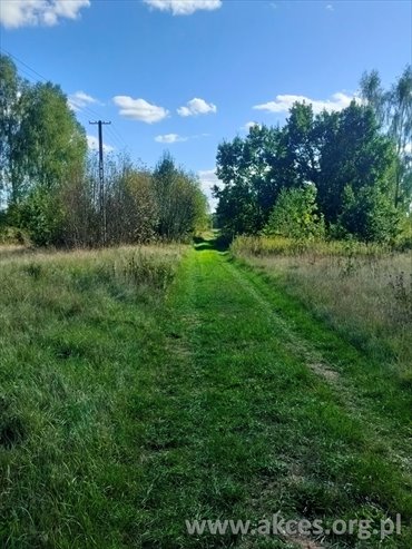 Działka 3615 m² w Kampinowskim Parku - polecam działka Secyminek, Bez Nazwy