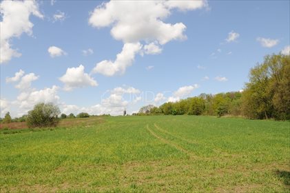 działka na sprzedaż 37897m2 działka Katowice, Zarzecze