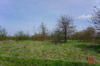 Działka rekreacyjna na sprzedaż Stare Chojno 4 000m2 Foto 5
