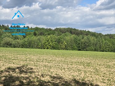 Sprzedam działkę 60 000 m² pod osiedle w Stanisławiu Dolnym działka Stanisław Dolny