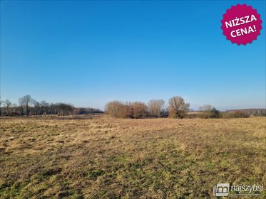 działka na sprzedaż 269141m2 działka Węgorzyno, Obrzeża miasta