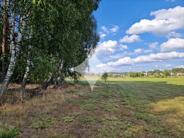 działka na sprzedaż 3776m2 działka Krynickie