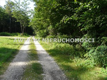 Sprzedam działkę 4020 m² w Olszance z unikalnym starodrzewem działka Olszanka
