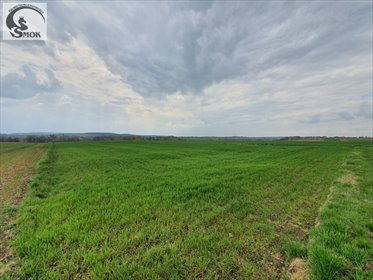 Do sprzedania działka rolna 1,12 ha z widokiem i dojazdem polną drogą działka Brończyce