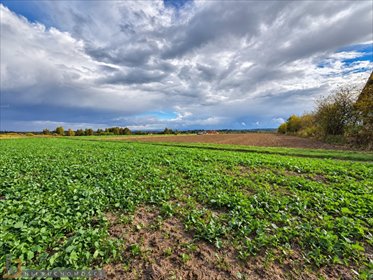 Działka 9 000 m² w Smardzowicach, media, zabudowa - polecam! działka Smardzowice