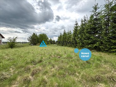 działka na sprzedaż 4300m2 działka Osowo Leśne