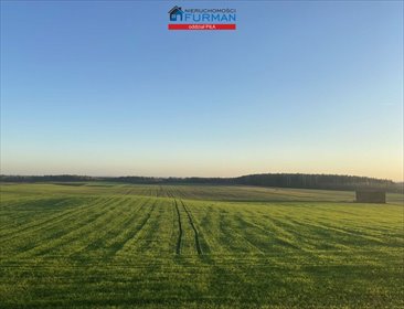 działka na sprzedaż 3004m2 działka Nowy Dwór, Nowy Dwór