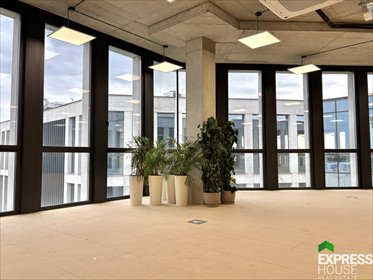 lokal użytkowy na wynajem 187m2 lokal użytkowy Lublin, Gęsia