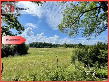 działka na sprzedaż 3146m2 działka Kuszewo