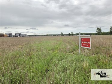 działka na sprzedaż 881m2 działka Drużyna, Spokojna