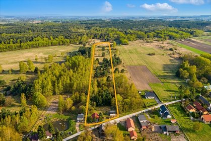 Dom na dużej działce 1,76 ha z potencjałem do remontu dom Holendry