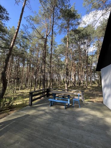 działka na sprzedaż 2200m2 działka Ostrykół Dworski
