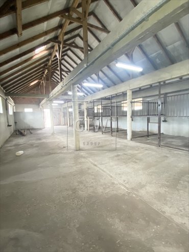 magazyn na wynajem 350m2 magazyn Lisówek