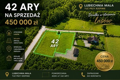 Polecam działkę 4200 m² w Lubiechnia Mała w otoczeniu lasów działka Lubiechnia Mała