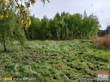 działka na sprzedaż 4490m2 działka Dusin, Dusin