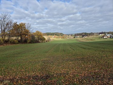 działka na sprzedaż 10400m2 działka Barłomino