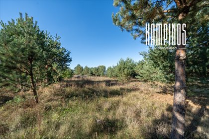 działka na sprzedaż 1068m2 działka Koczargi Stare