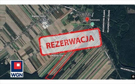 działka na sprzedaż 64400m2 działka Wąsosz Górny, Wąsosz Górny