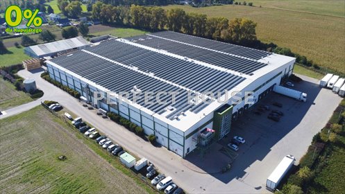 Hala produkcyjno-magazynowa 11 000 m² - nowoczesny obiekt w Trzeku lokal użytkowy Trzek