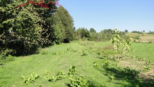 działka na sprzedaż 1000m2 działka Brzozów