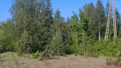 Działka rolna na sprzedaż Łękawica 11 842m2 Foto 5