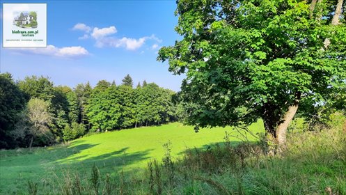 Zapraszam do zakupu działki 6422 m² w Zieleniec, blisko wyciągów działka Duszniki-Zdrój, Zieleniec, Zieleniec