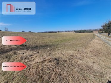 Działka budowlana 1105 m² z warunkami zabudowy, las i dojazd działka Zielonczyn