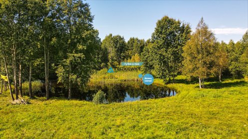 Działka z pozwoleniem na dom, staw i zalesienie – 7310 m2 działka Cząstkowo