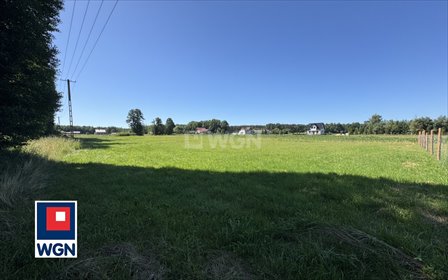 działka na sprzedaż 1036m2 działka Kobyla Góra, Bierzów, Bierzów