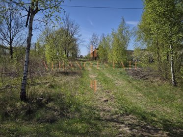 Działka 4140 m² z domem, lasem i WZ – cisza i spokój działka Trzepnica