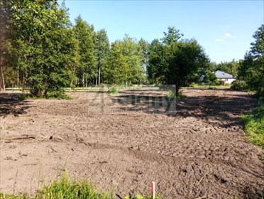 Działka 1500 m² z mediami, MPZP, Radonie - zapraszam działka Radonie