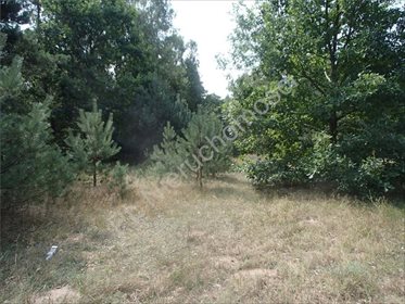 Działka rolna na sprzedaż Osęczyzna 2 200m2 Foto 1