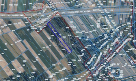 Sprzedam działkę 23 100 m² z możliwością zabudowy w Nowym Jędrzejowie działka Nowy Jędrzejów