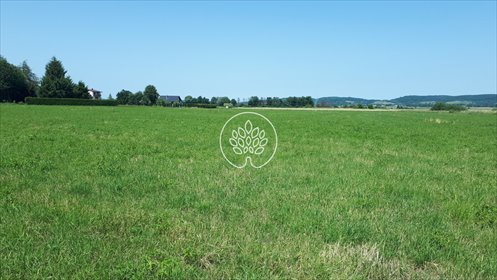 działka na sprzedaż 23500m2 działka Zarszyn