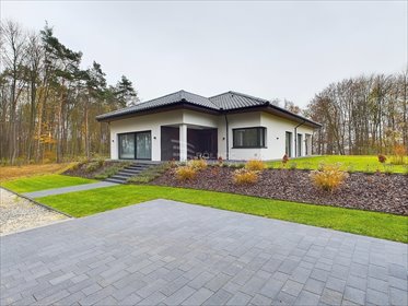 dom na sprzedaż 250m2 dom Zielona
