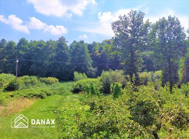 Działka 11 400 m² w Mnikowie z potencjałem zapraszam działka Mników