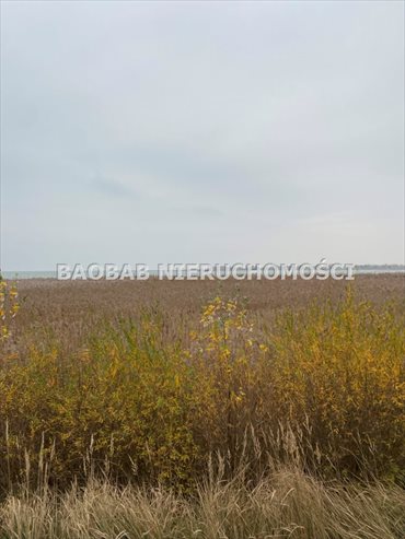 Działka budowlana na sprzedaż Kąty Rybackie, Rybacka 1 701m2 Foto 3