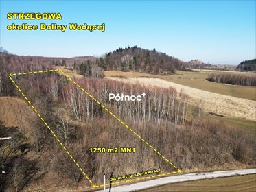 Działka 9400 m² z widokiem i uzbrojeniem w Jurajskim Parku działka Strzegowa