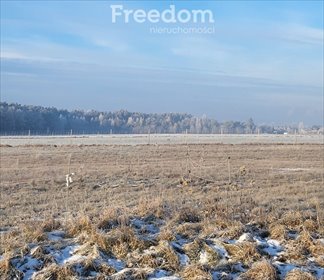Atrakcyjna działka budowlana 10,5 ara z lasem i dostępem do jeziora działka Kotórz Mały, Zielona